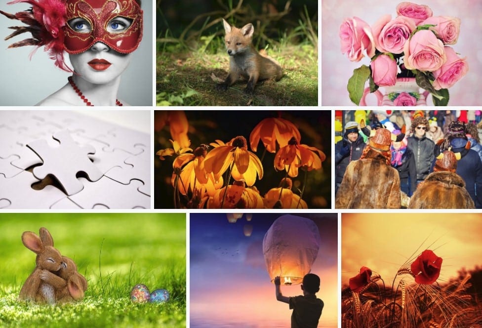 10 Amazing Websites to Download Free Stock Images